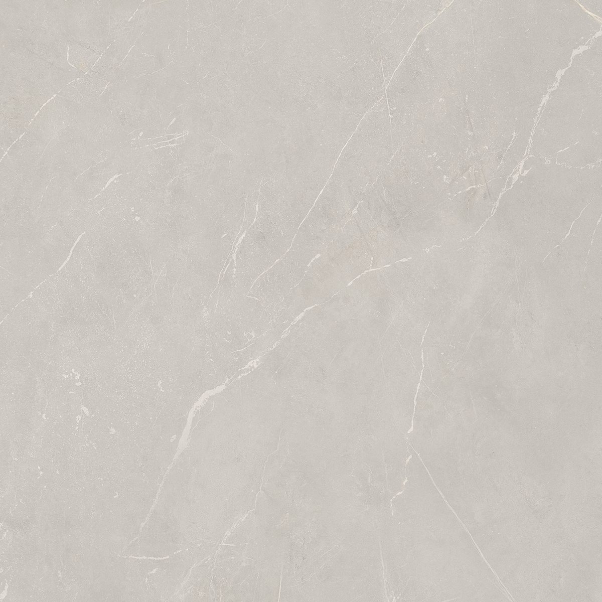 NL02 Nolana Light Grey 600x600 неполированный серый