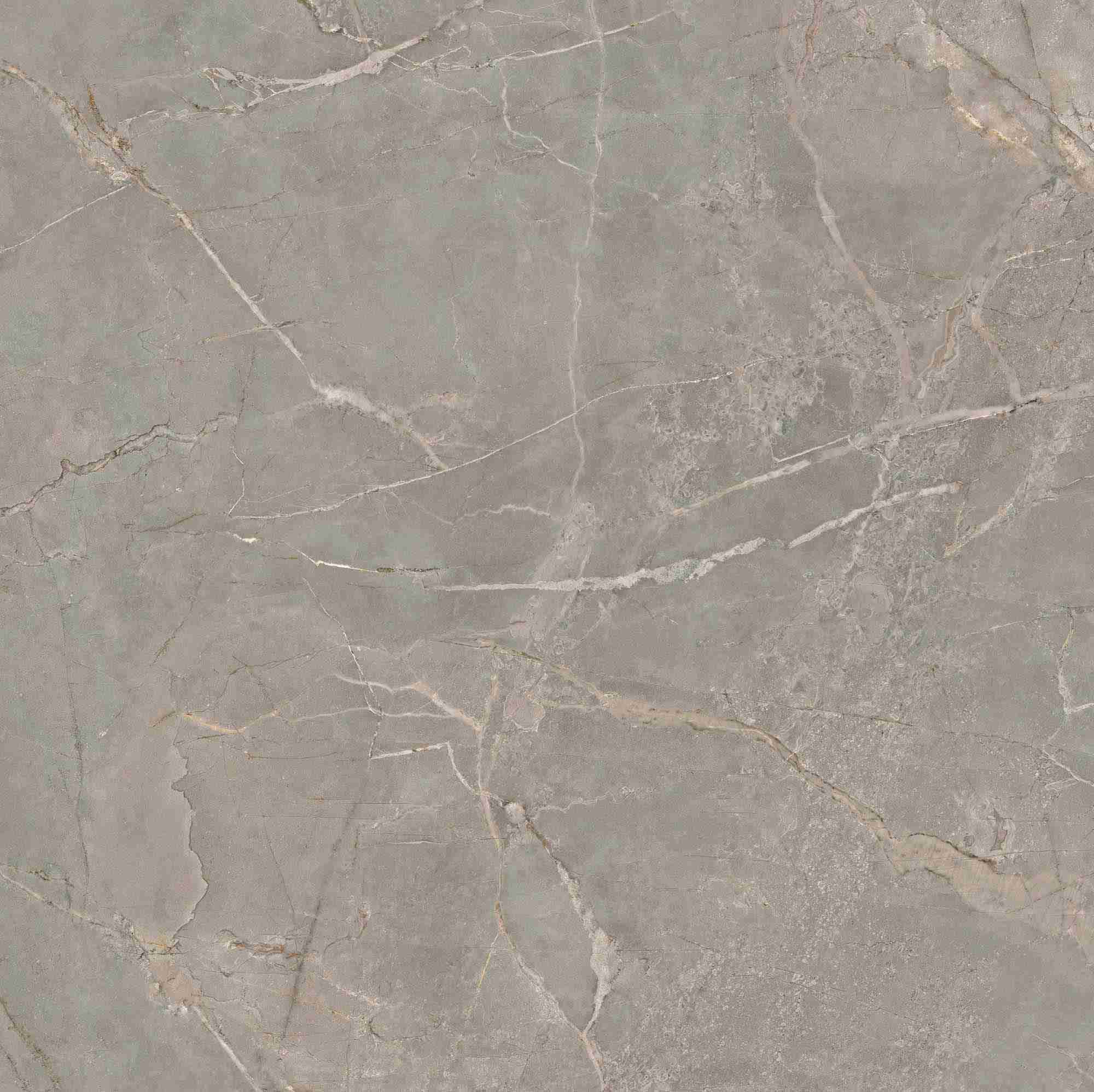 BR03 Bernini Grey 800x800 неполированный серый